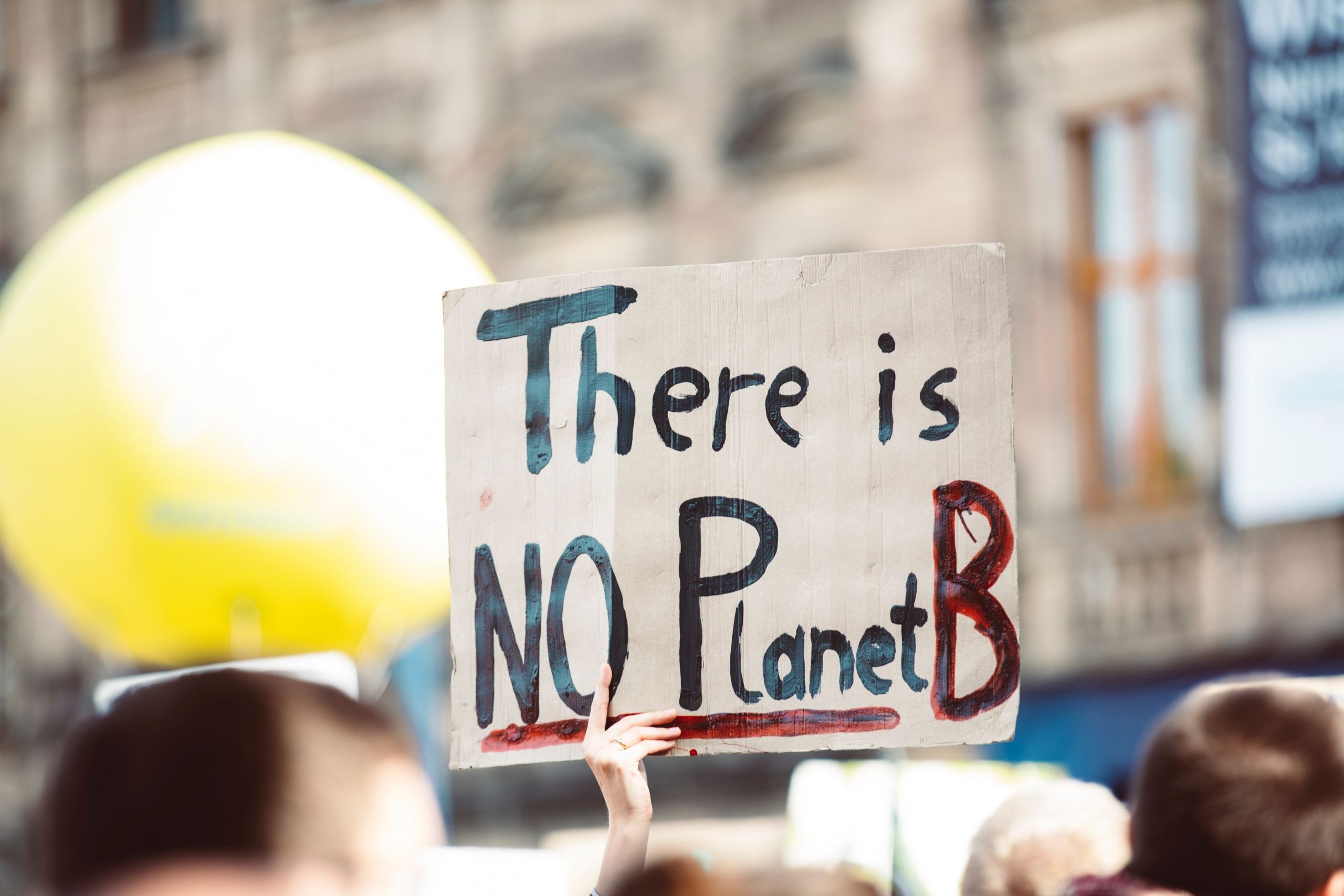 Placard which reads "There is no Planet B"