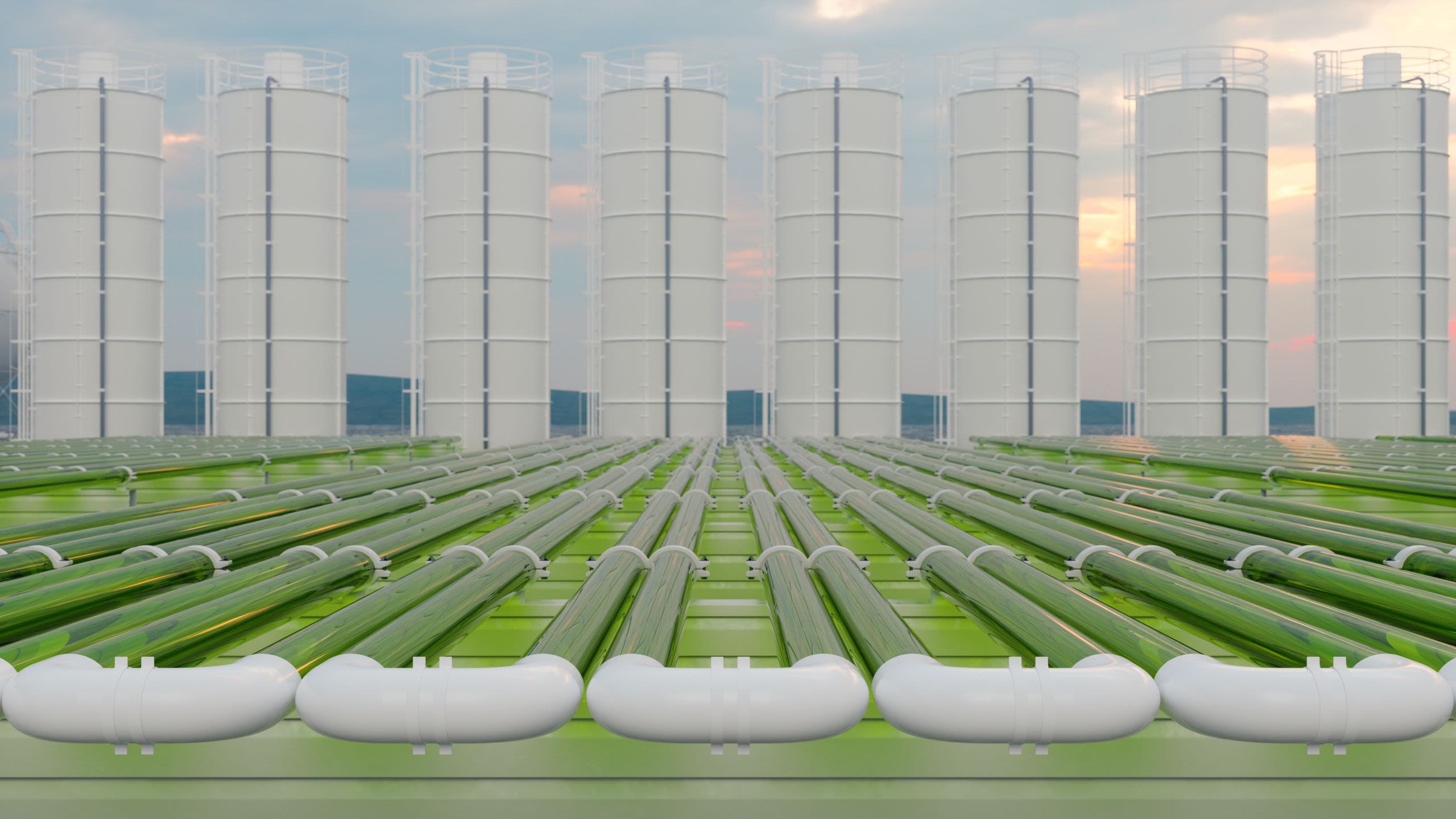 Tubular algae bioreactors fixing CO2 to produce biofuel as an alternative fuel With storage tanks and blue sky background