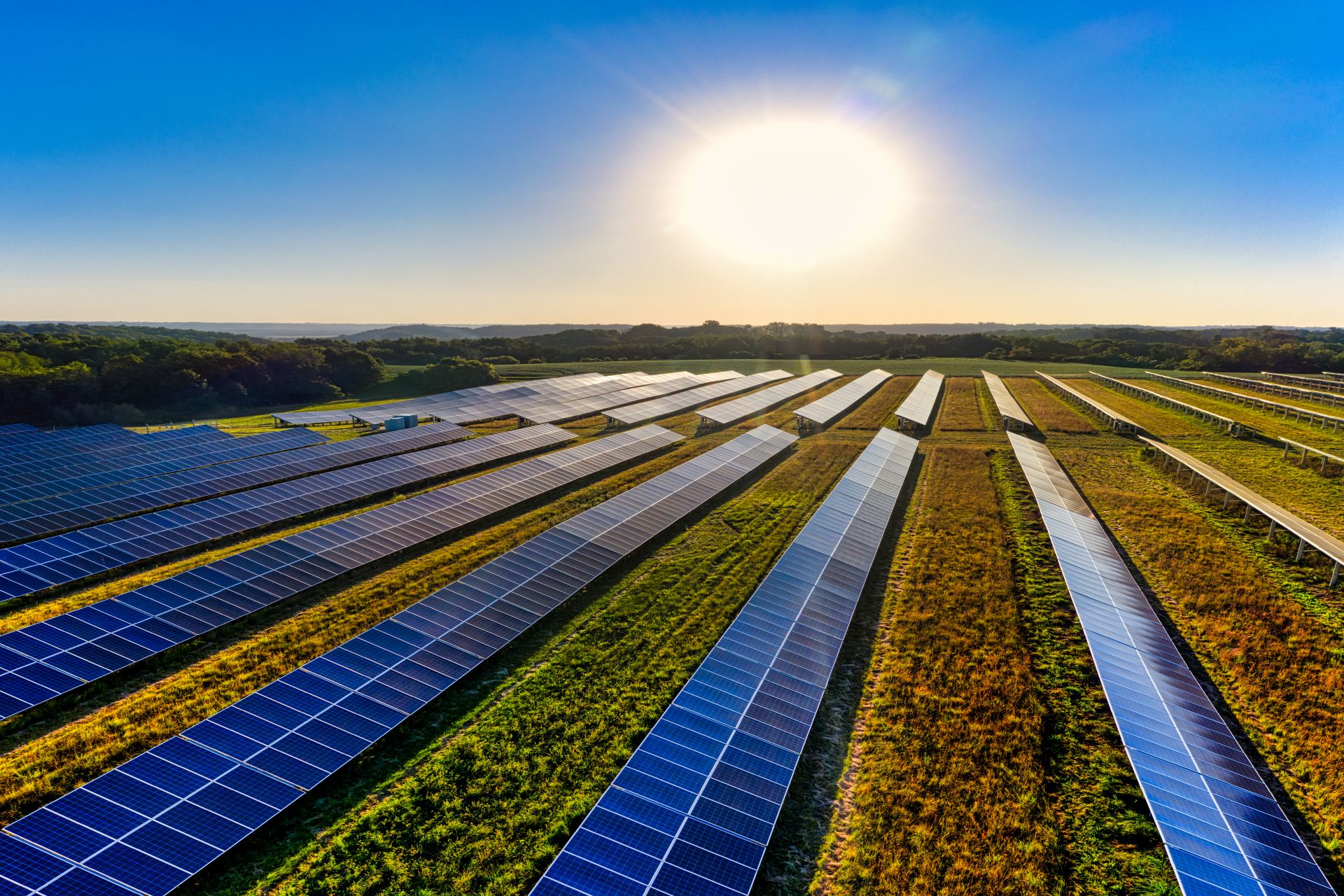 Photography of Solar Farm on a sunny day