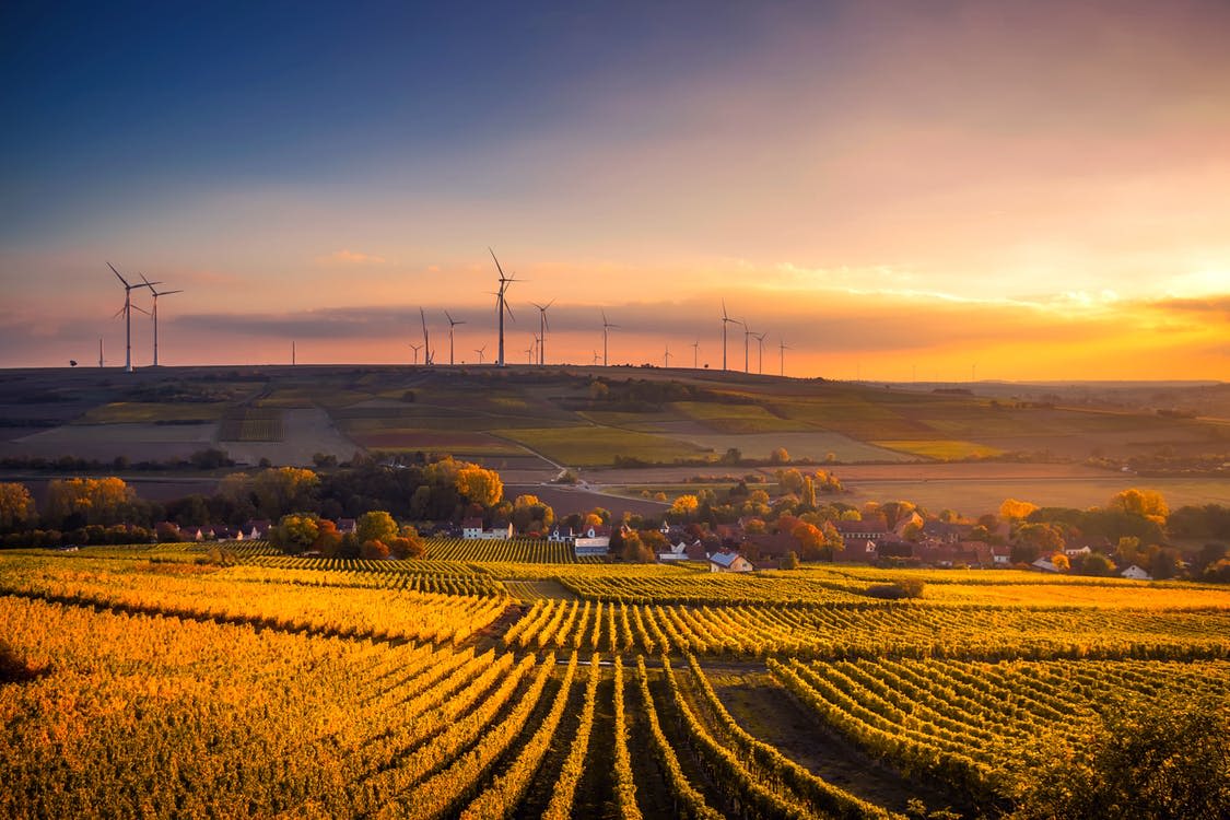 photography of Scenic View of Agricultural Field Against Sky during Sunset