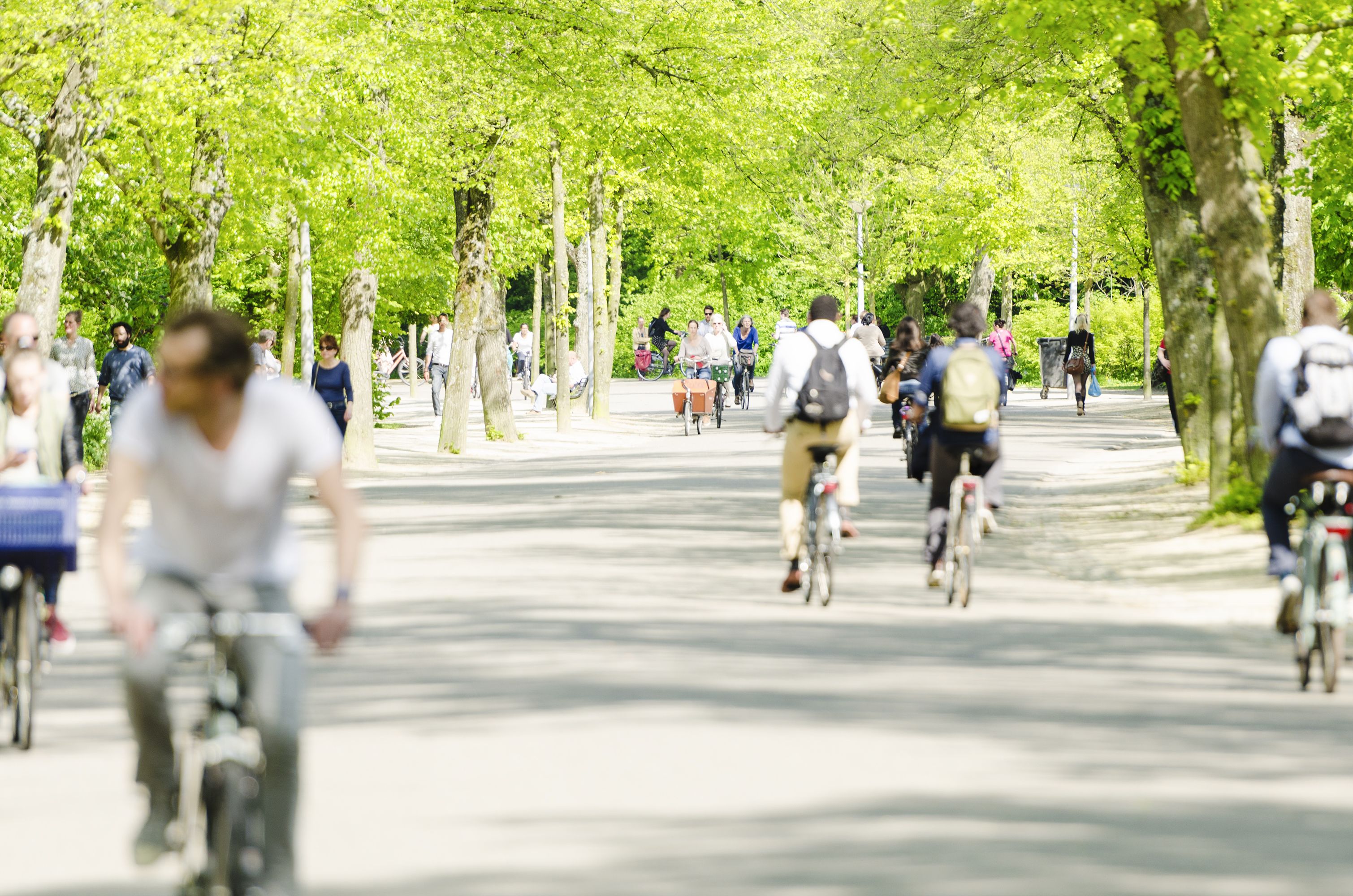 Cyclists riding in a park