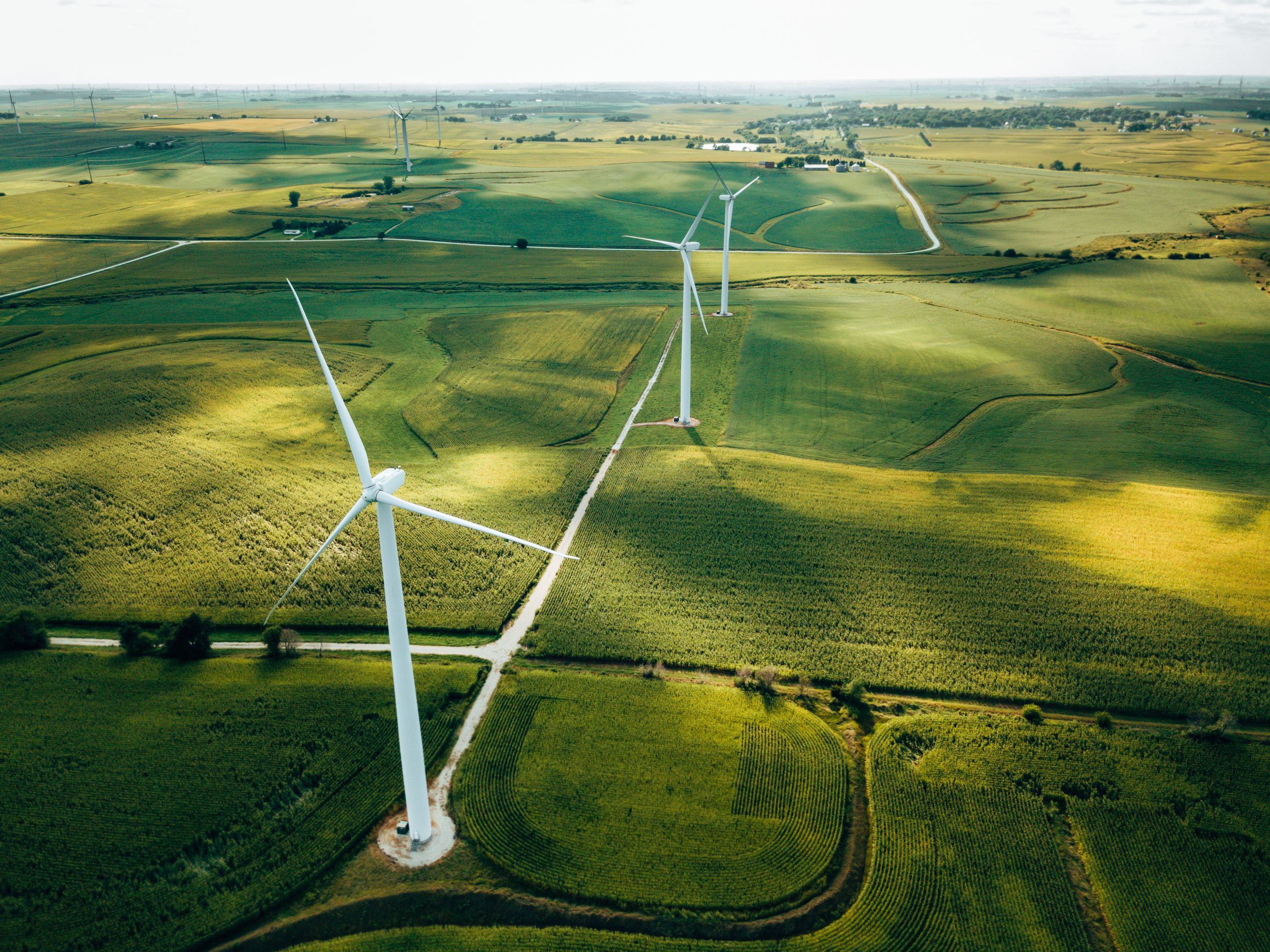Windmills in sunny fields