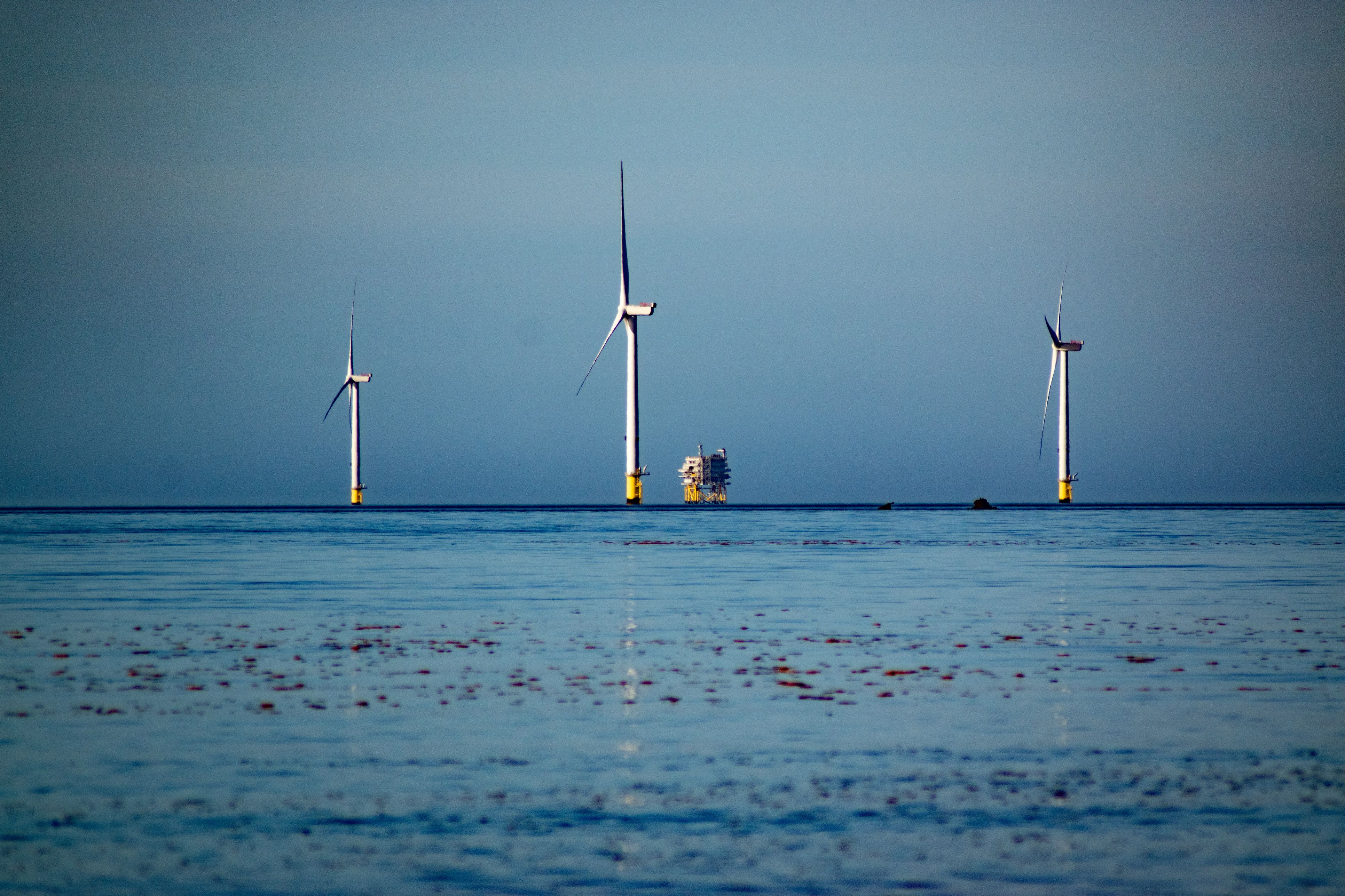 An image of offshore wind turbines on the sea.
