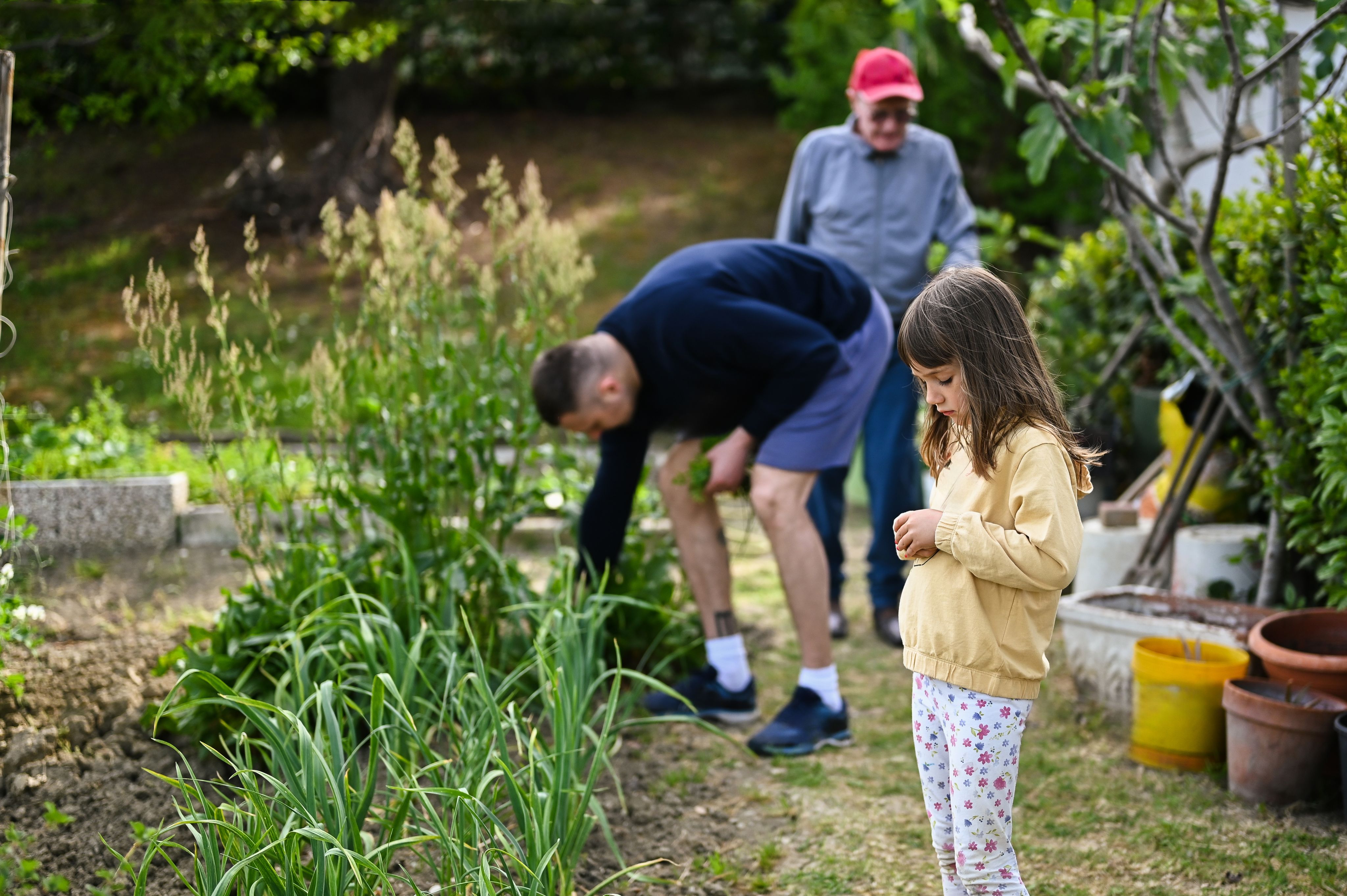 Photograph of man and child gardening