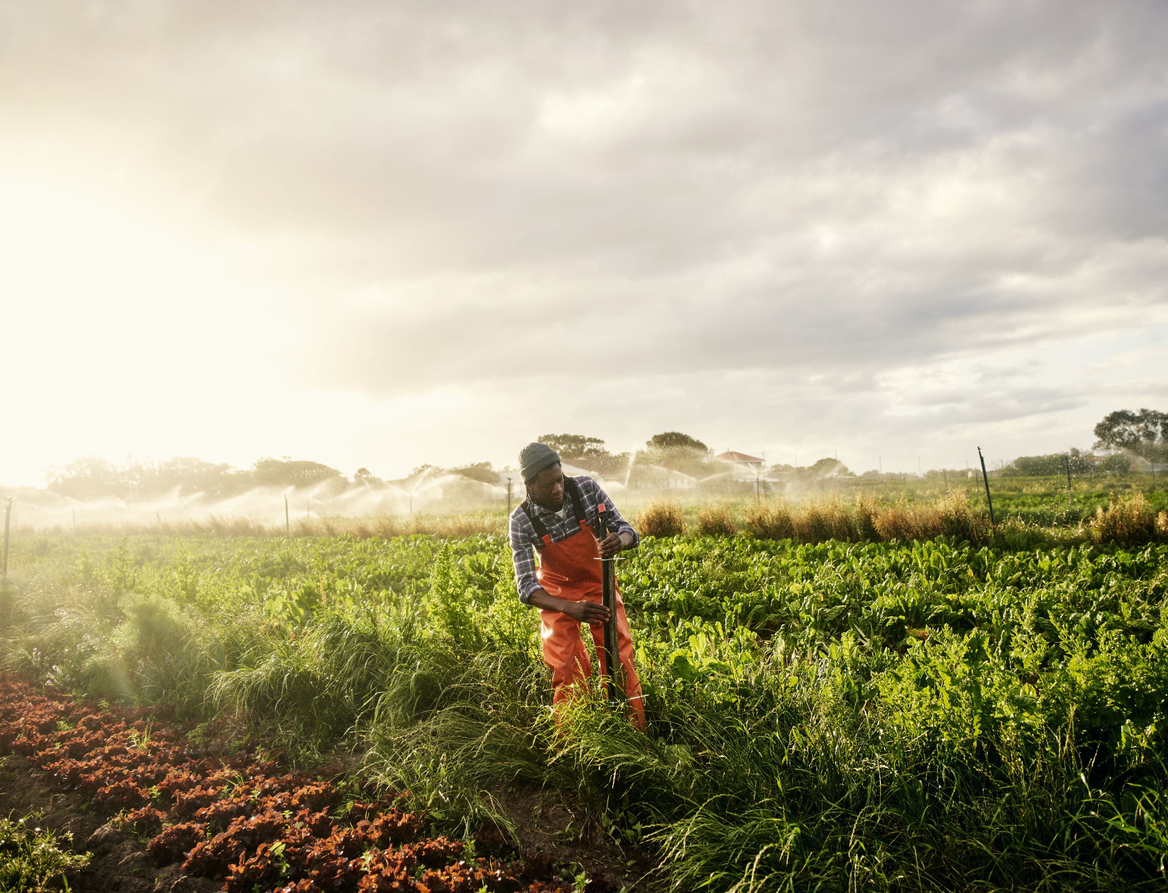 Shot of a young man operating the sprinkler system while working on a farm.