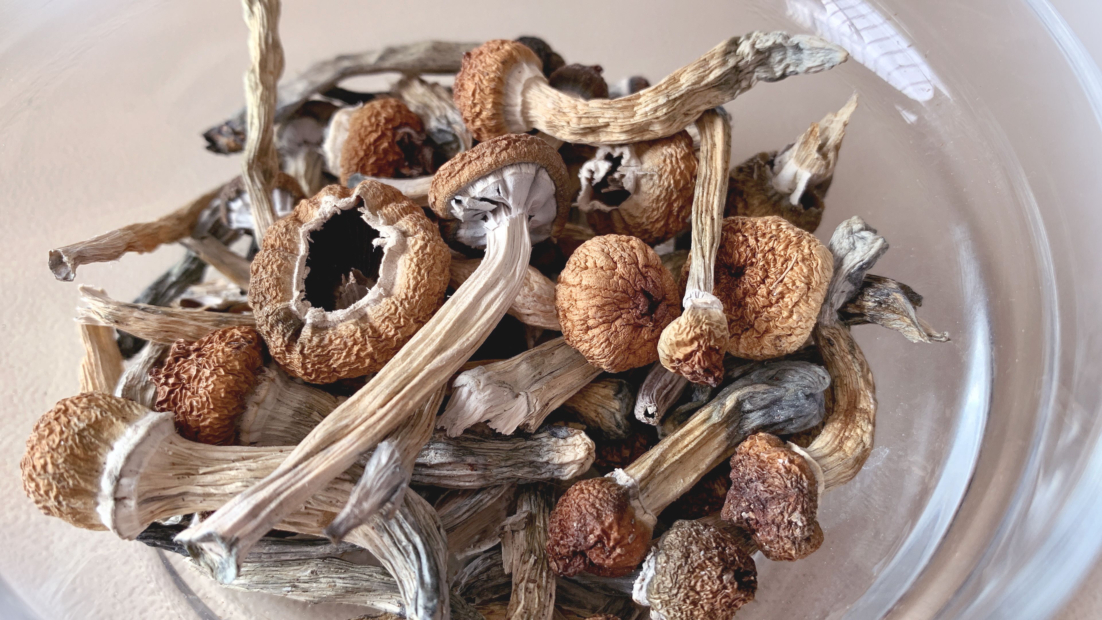 A dish of dried mushrooms